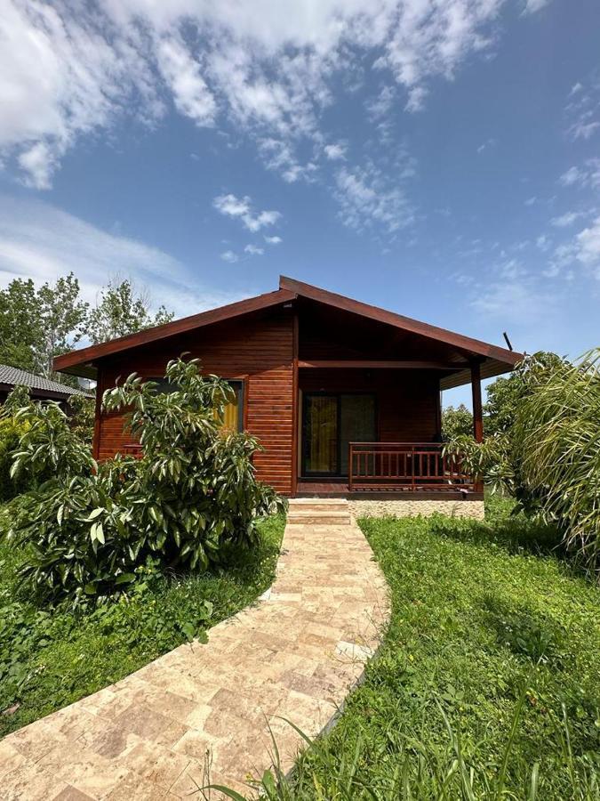 çirali Vıllas 2 Villa Çıralı