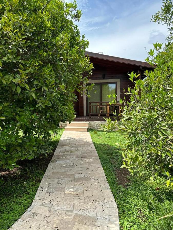çirali Vıllas 2 Villa