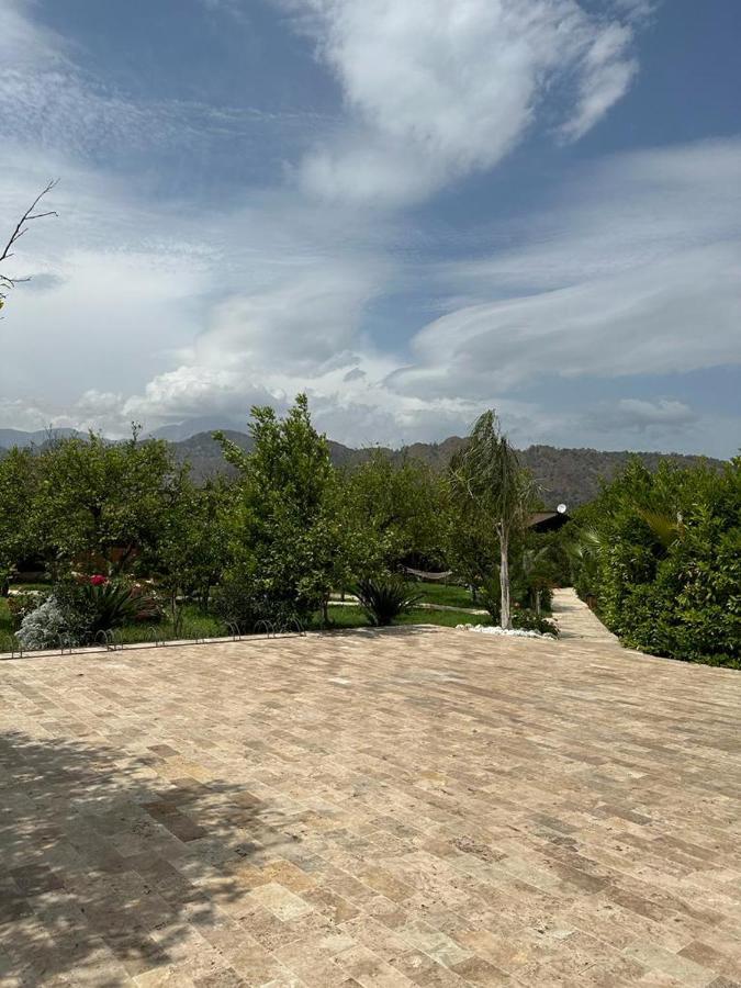 çirali Vıllas 2 Çıralı