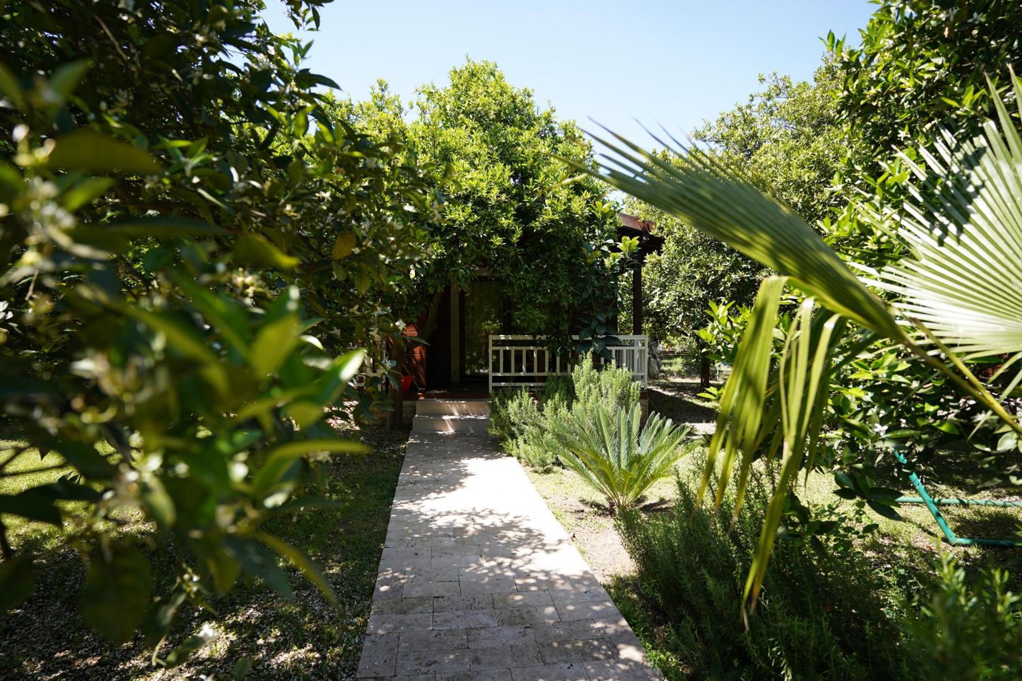 çirali Vıllas 2 Villa