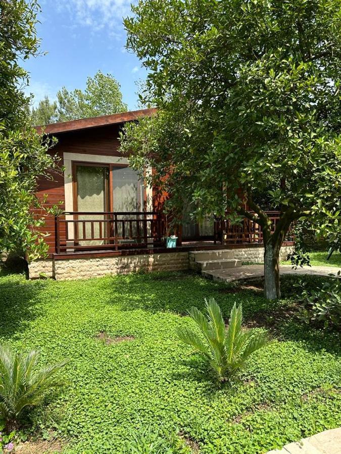 2 * Çıralı